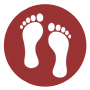 Chiropody and Podiatry